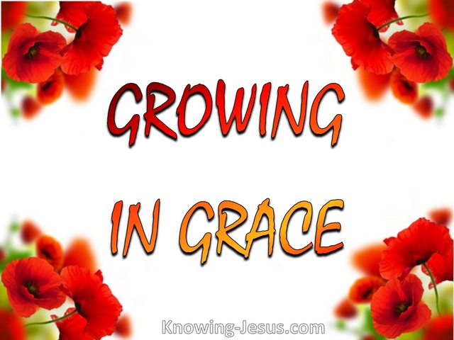  2 Peter 3:18 Growing in Grace (devotional)03:19 (red)